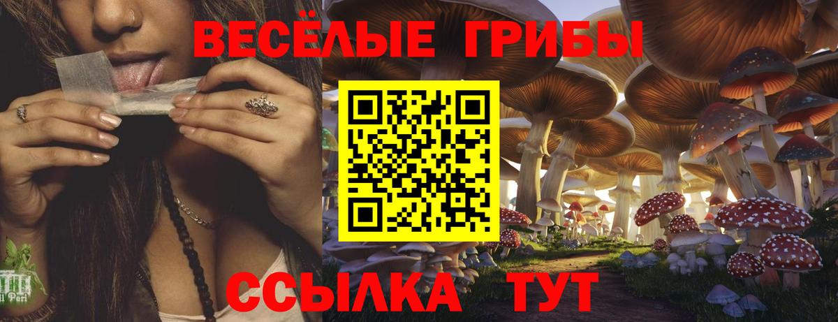 Псилоцибиновые грибы Psilocybe  Вход с VPN  Елизово 